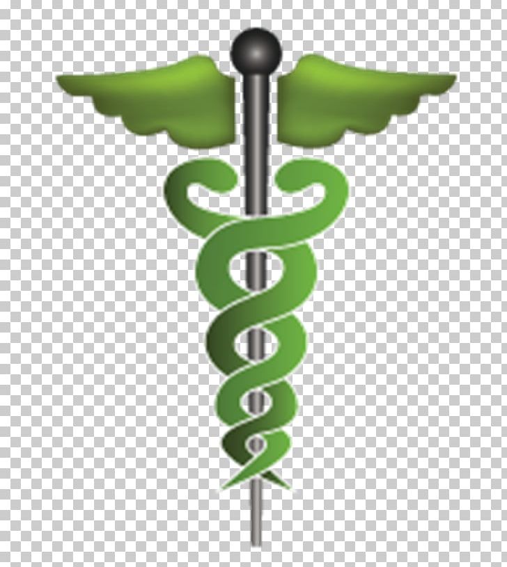 Staff Of Hermes Doctor Of Medicine Symbol Physician PNG, Clipart, Asclepius, Caduceus As A Symbol Of Medicine, Doctor Of Medicine, Green, Healthcare Free PNG Download