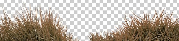 Grass Gratis PNG, Clipart, Christmas Decoration, Decoration, Decorative, Decorative Elements, Decorative Pattern Free PNG Download