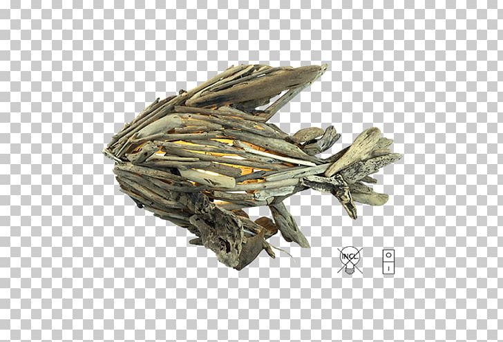 /m/083vt Netherlands .nl Fish Lamp PNG, Clipart, Baihao Yinzhen, Bai Mudan, Bancha, Da Hong Pao, Dianhong Free PNG Download