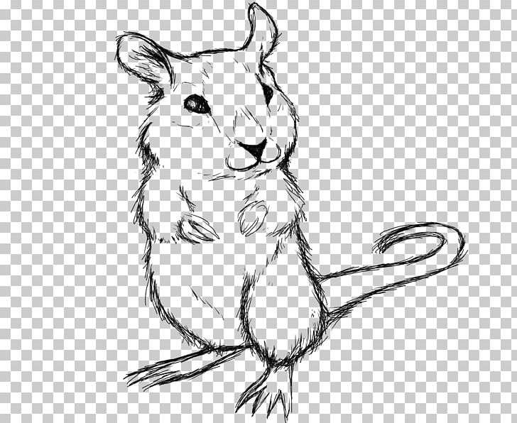 Rat Gerbil Hamster Mouse Rodent PNG, Clipart, Animals, Art, Artwork, Black And White, Carnivoran Free PNG Download