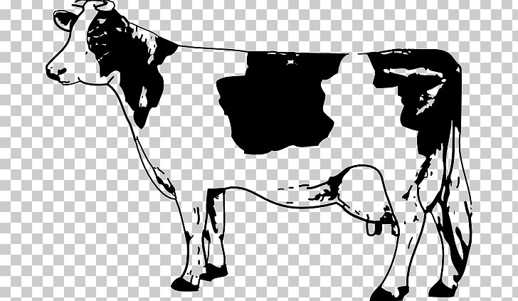 Angus Cattle PNG, Clipart, Art, Black And White, Blog, Bull, Carnivoran Free PNG Download