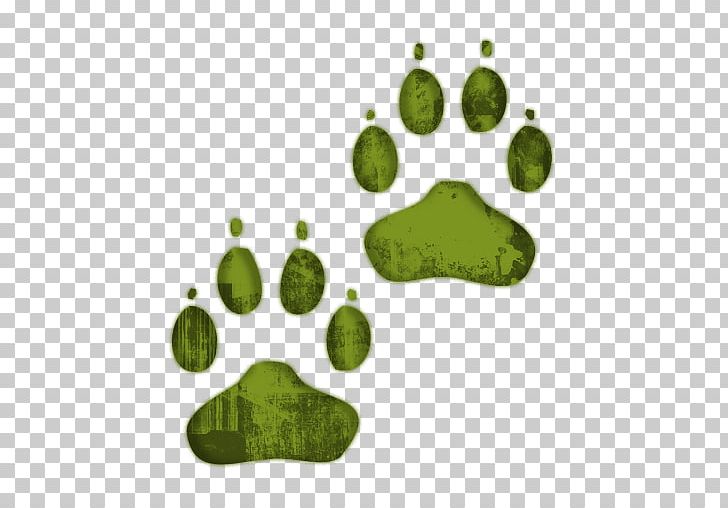 Dog Cat Paw Printing PNG, Clipart, Amphibian, Animal Track, Bear, Cat, Claw Free PNG Download