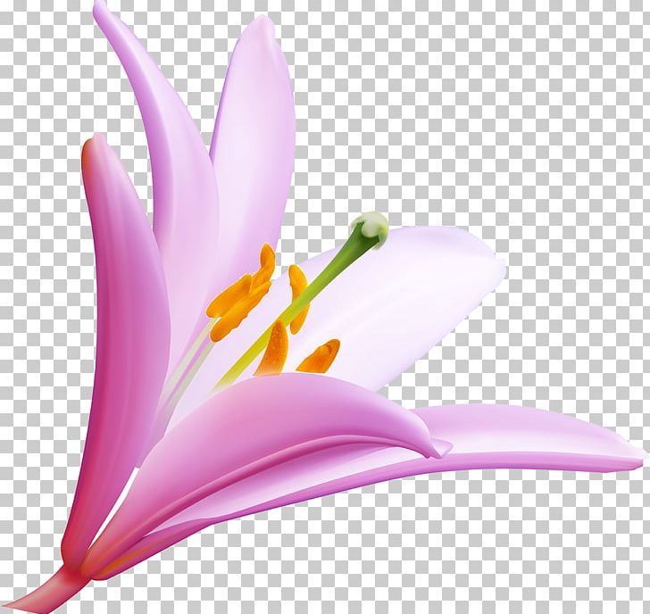 Flower Desktop PNG, Clipart, Blue Rose, Closeup, Computer Wallpaper, Desktop Wallpaper, Floral Design Free PNG Download
