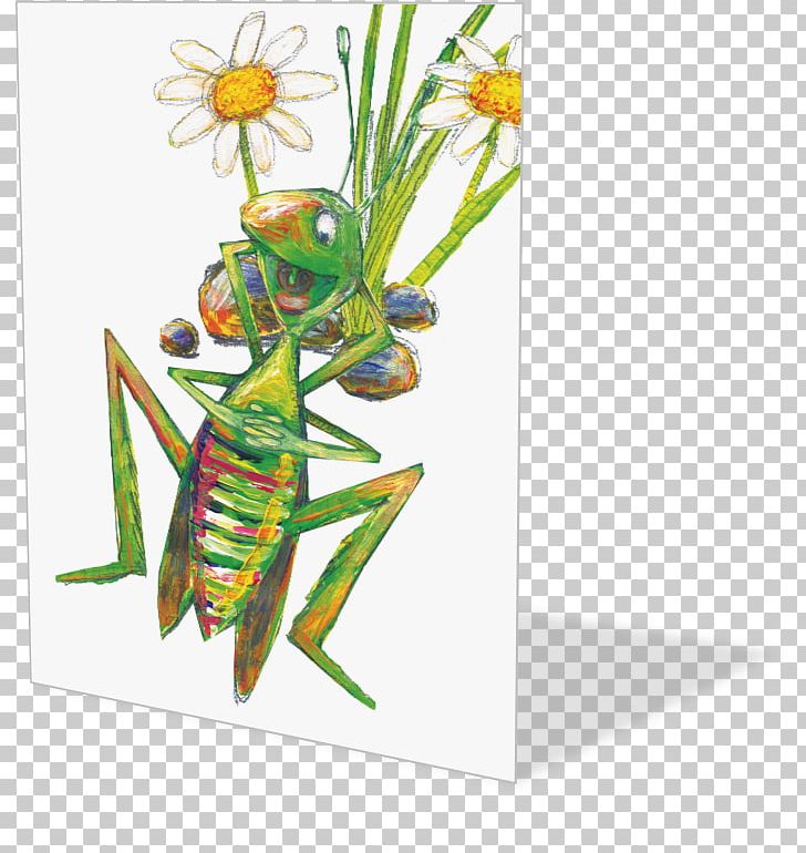 Insect Pollinator Pest Membrane PNG, Clipart, Animals, Arthropod, Grass, Insect, Invertebrate Free PNG Download