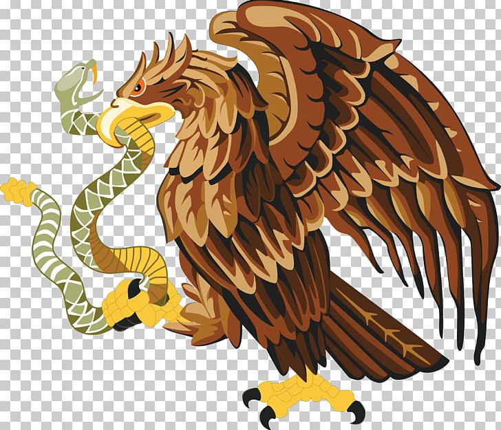 Mexico Snake Bald Eagle PNG, Clipart, Animals, Bald Eagle, Beak, Bird, Bird Of Prey Free PNG Download
