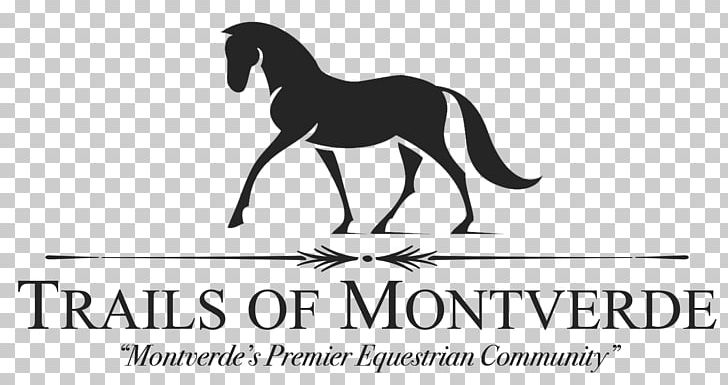 Mustang Black Horse Inn Pony Stallion Logo PNG, Clipart, Black And White, Brand, Equestrian, Horse, Horse Community Free PNG Download