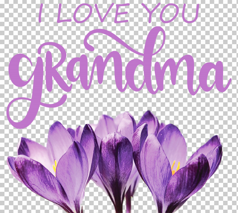 Lavender PNG, Clipart, Calligraphy, Drawing, Grandma, Grandmothers Day, Lavender Free PNG Download