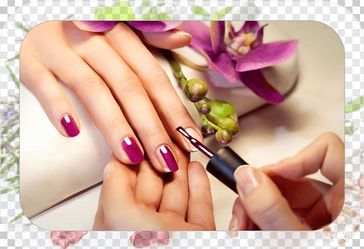 Daisy's Nails And Spa Manicure Beauty Parlour Pedicure Nail Salon PNG, Clipart, Beauty Parlour, Daisy, Gel, Manicure, Nails Free PNG Download