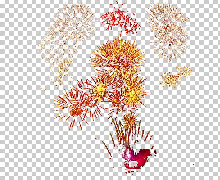 Line Point Flowering Plant PNG, Clipart, Flora, Flower, Flowering Plant, Line, Organism Free PNG Download