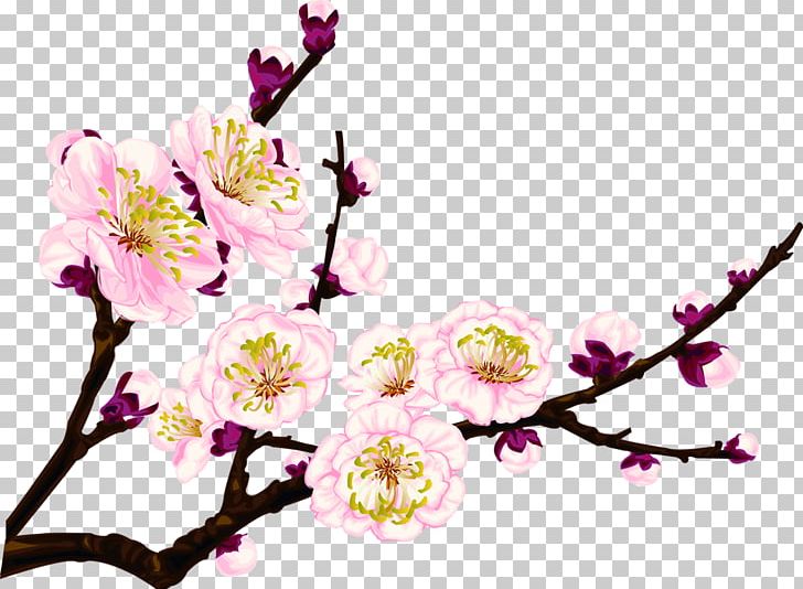Flower Arranging Tree Branch Branch PNG, Clipart, Blossom, Branch, Branches, Cherry Blossom, Coreldraw Free PNG Download