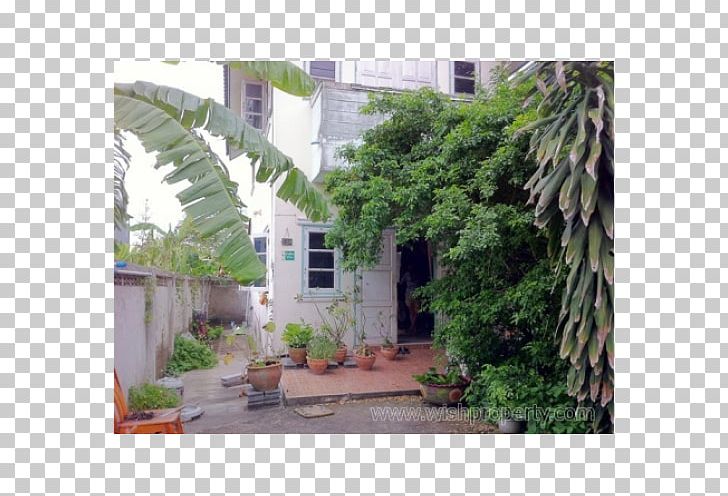 Property Backyard Courtyard By Marriott Tree PNG, Clipart, Apartment, Backyard, Condominium, Cottage, Courtyard Free PNG Download