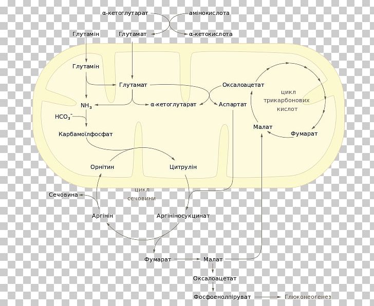 Wikimedia Commons File Size PNG, Clipart, Angle, Area, Copyright, Diagram, File Size Free PNG Download