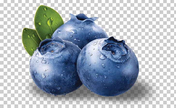 Blueberry Bilberry Fruit Antioxidant Seed PNG, Clipart, Antioxidant, Auglis, Berry, Bilberry, Blueberry Free PNG Download