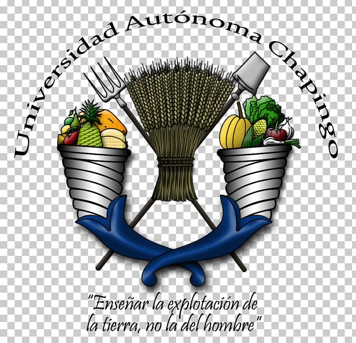 Chapingo Autonomous University Department Of Agricultural Parasitology Agriculture Universidad Autónoma Chapingo Agronomy PNG, Clipart, Agricultural Machinery, Agriculture, Agronomy, Animal Husbandry, Brand Free PNG Download