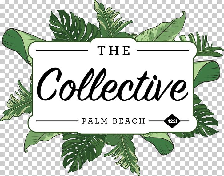 The Collective Palm Beach Food Restaurant Pier Marina Mirage PNG, Clipart, Area, Bar, Beach, Brand, Coast Free PNG Download