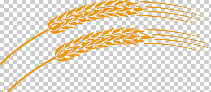 Wheat PNG, Clipart, Adobe Illustrator, Artworks, Commodity, Computer Graphics, Ear Free PNG Download
