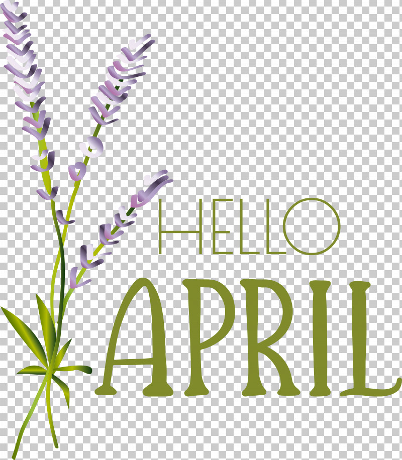 Lavender PNG, Clipart, Biology, Flower, Lavender, Logo, Meter Free PNG Download