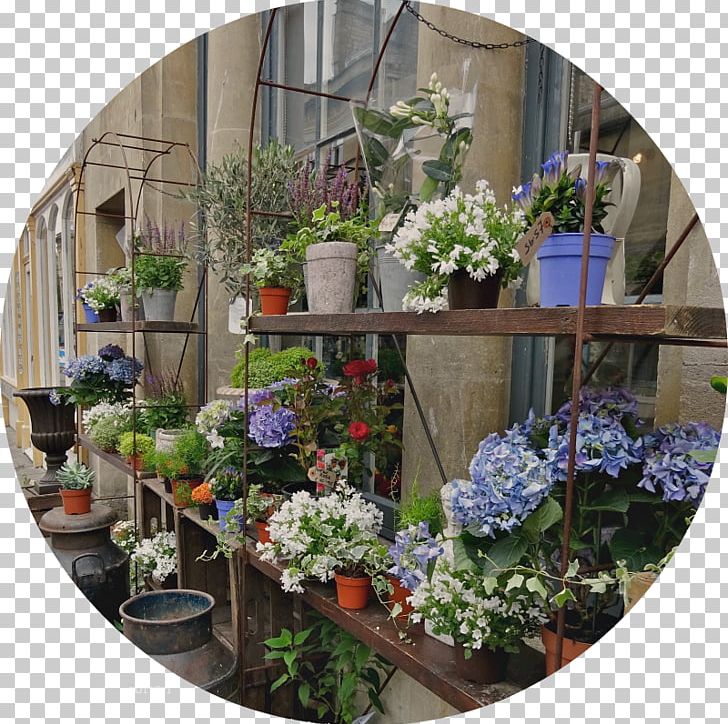 Floral Design Window Flowerpot Flowering Plant Houseplant PNG, Clipart, Flora, Floral Design, Floristry, Flower, Flower Arranging Free PNG Download
