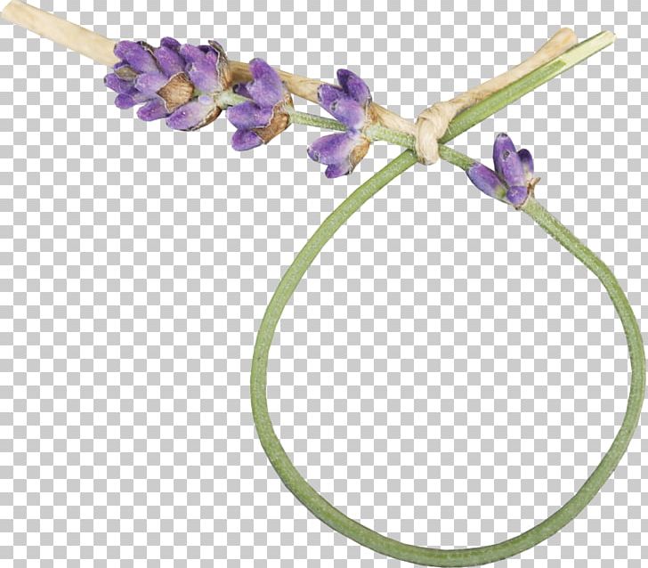 Lavender Flower Frames PNG, Clipart, Email, Flower, Flowering Plant, Lavender, Liveinternet Free PNG Download