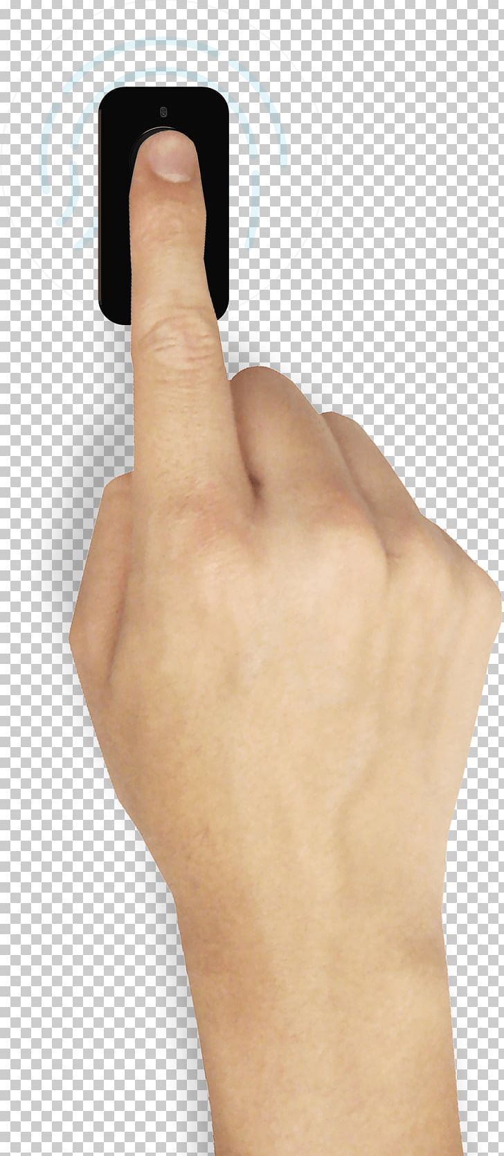 Thumb Hand Model Nail PNG, Clipart, Arm, Closeup, Closeup, Finger, Hand Free PNG Download