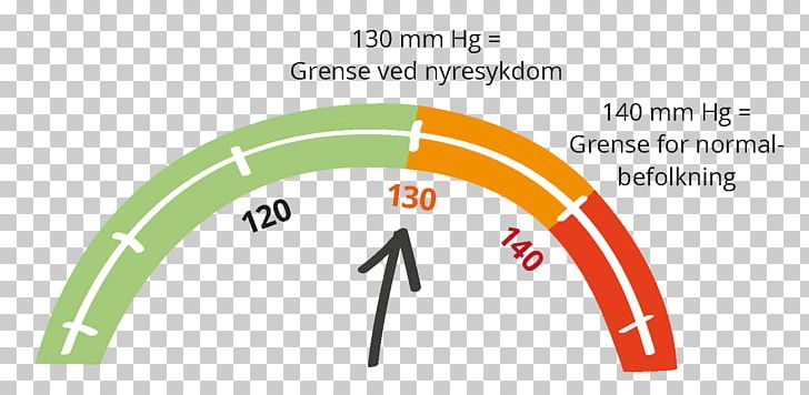 Blood Pressure Hypertension Heart Stress Kidney PNG, Clipart, 21 April, Angle, Area, Blood Pressure, Brand Free PNG Download