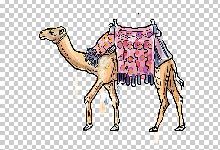 Camel Cartoon PNG, Clipart, Animal, Animals, Arabian Camel, Art, Camel Free PNG Download