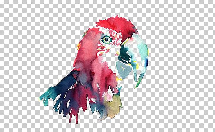 Parrot Bird Macaw Watercolor Painting PNG, Clipart, Animals, Art, Cartoon, Color, Common Pet Parakeet Free PNG Download