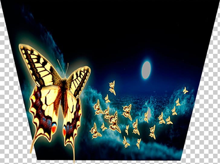 Computer Desktop PNG, Clipart, Butterfly, Computer, Computer Wallpaper, Desktop Wallpaper, Insect Free PNG Download