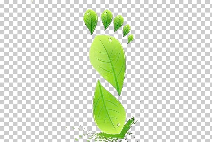 Leaf Shape Green Euclidean PNG, Clipart, Adobe Illustrator, Background Green, Color, Computer Wallpaper, Encapsulated Postscript Free PNG Download