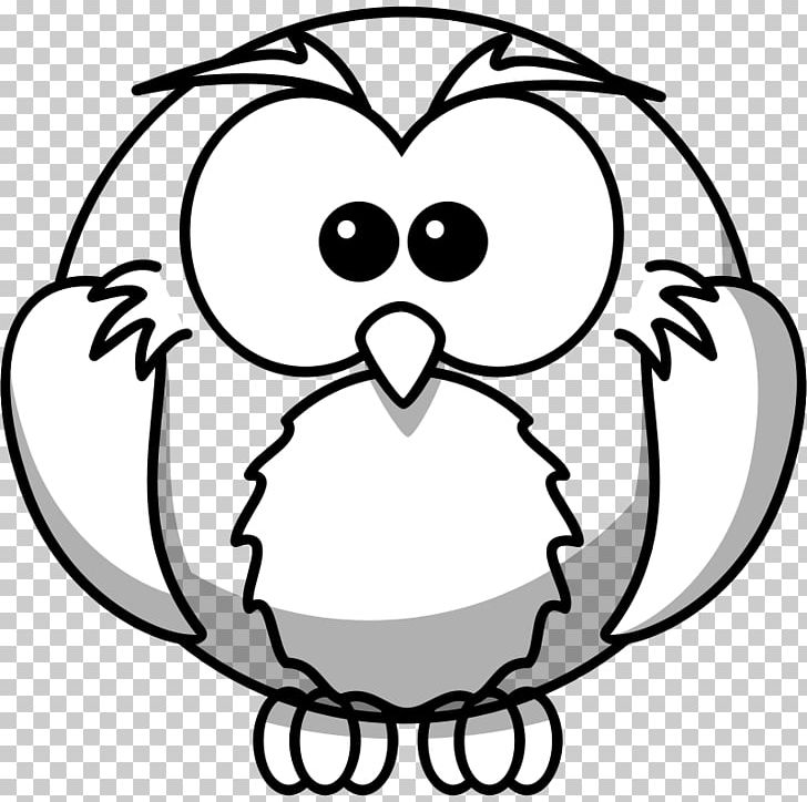 Owl Drawing Bird PNG, Clipart, Art, Artwork, Barn Owl, Beak, Black And White Free PNG Download