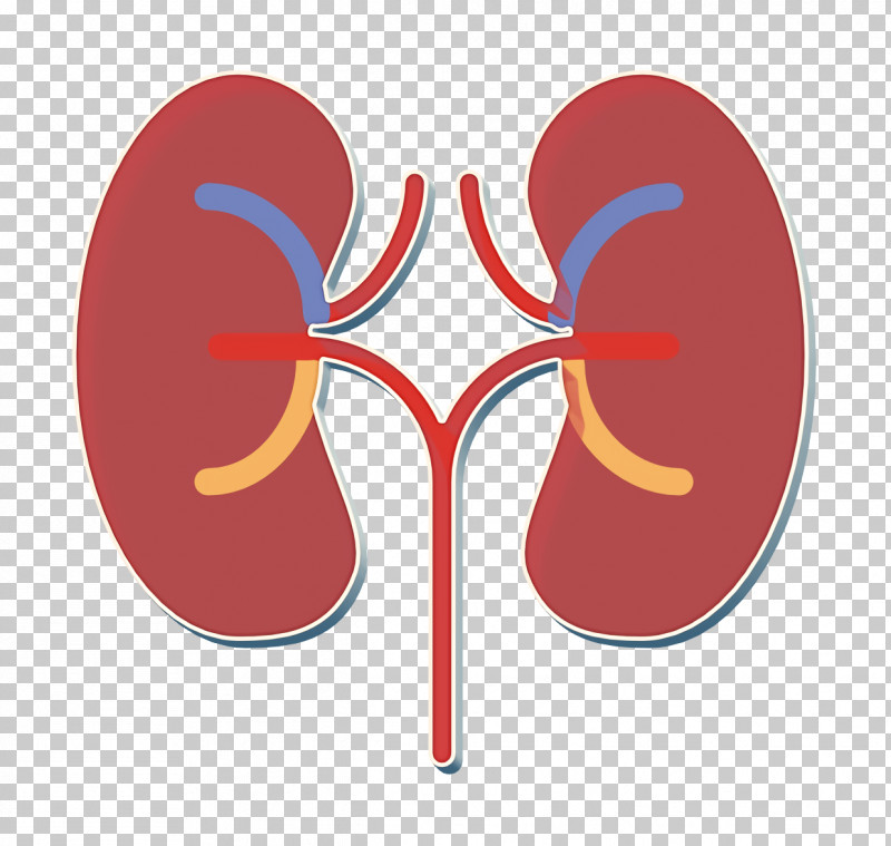 Medical Asserts Icon Kidney Icon PNG, Clipart, Footwear, Kidney Icon, Line, Medical Asserts Icon, Red Free PNG Download
