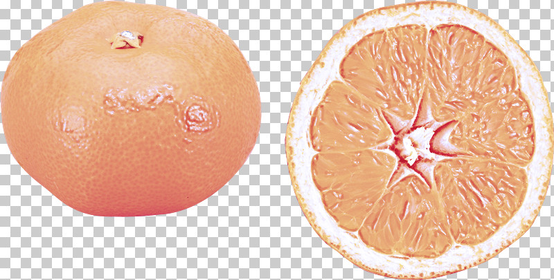 Orange PNG, Clipart, Citrus, Clementine, Food, Fruit, Grapefruit Free PNG Download
