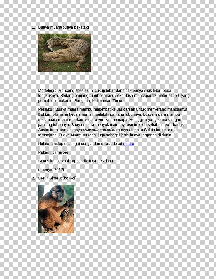 Animal Brochure Font PNG, Clipart, Animal, Brochure, Category, Document, Docx Free PNG Download