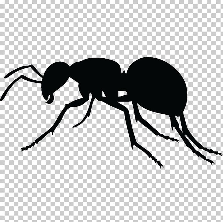 Ant PNG, Clipart, Ant, Arthropod, Beetle, Black And White, Black Garden Ant Free PNG Download