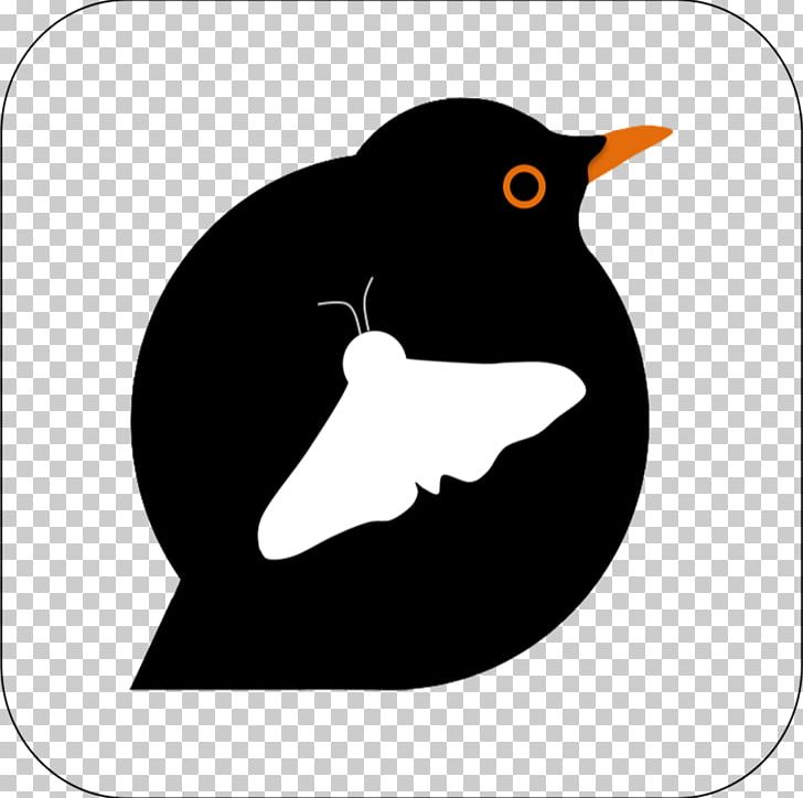Penguin Bird App Store Beak Finches PNG, Clipart, Animals, App, Apple, App Store, Artwork Free PNG Download