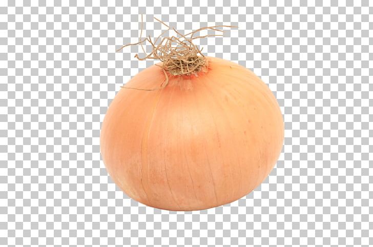 Calabaza Vegetarian Cuisine Onion Vegetable Winter Squash PNG, Clipart, Calabaza, Food, Ingredient, Onion, Orange Free PNG Download