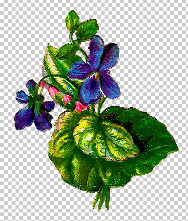 Paper Flower Violet PNG, Clipart, Art, Craft, Digital Image, Floral Design, Flower Free PNG Download