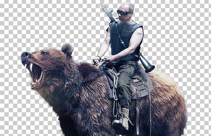 Russian Armed Forces Bear Military Exercise PNG, Clipart, Air Force, Army, Bear, Flag Of Russia, Grizzly Bear Free PNG Download