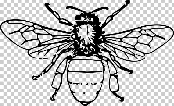 Bee Apis Cerana PNG, Clipart, Beehive, Brush Footed Butterfly, Fictional Character, Honey, Honey Bee Free PNG Download