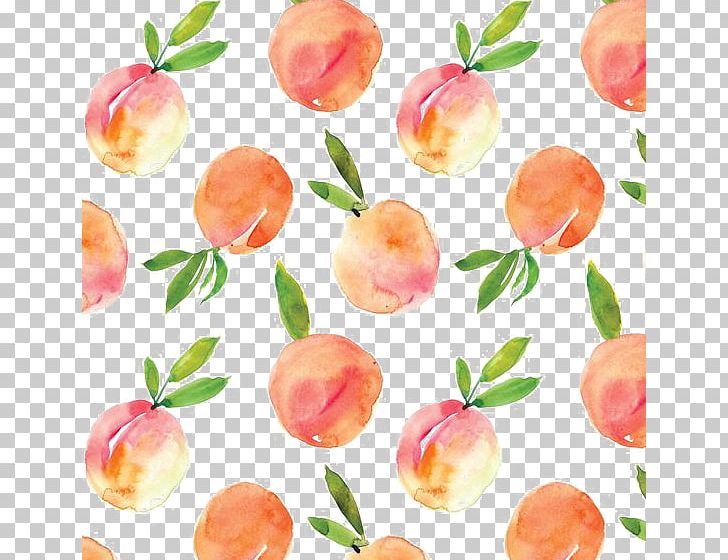 Peach Watercolor Painting Drawing PNG, Clipart, Creative, Diet Food, Food, Fruit, Fruit Nut Free PNG Download