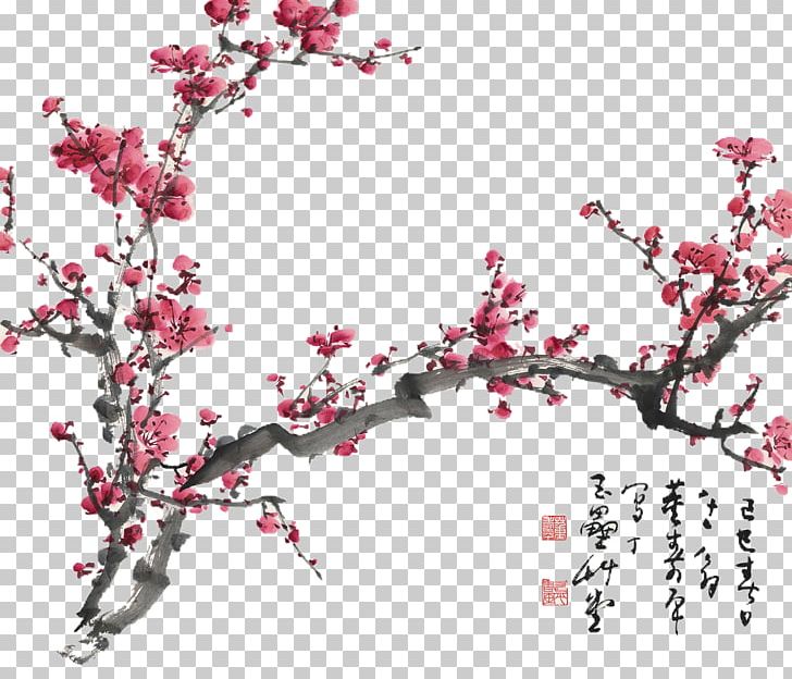 Plum Blossom Chinese Painting Cherry Blossom Drawing PNG, Clipart, Art, Blossom, Branch, Cherry, Cherry Blossom Free PNG Download
