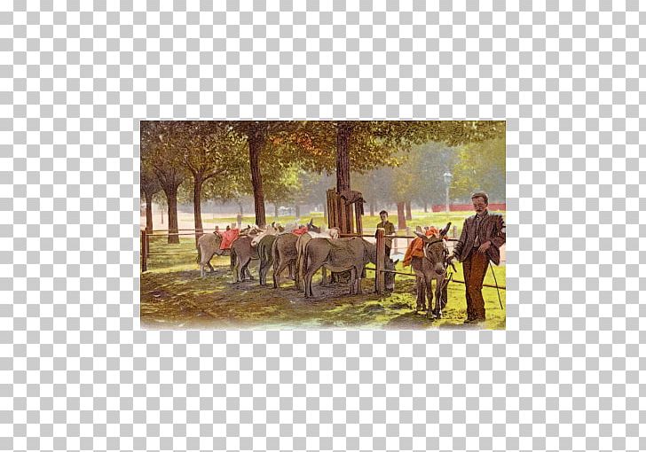 Wine And Cheese Tasting At Burgh House Museum Cattle PNG, Clipart, Cattle, Cattle Like Mammal, Eventbrite, Hampstead, Hampstead Heath Free PNG Download