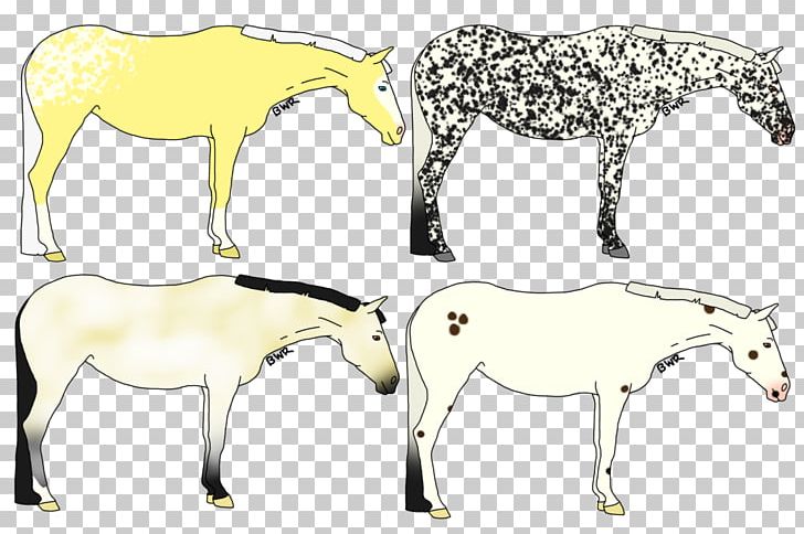 Mule Foal Stallion Mare Colt PNG, Clipart, Animal, Animal Figure, Bridle, Colt, Donkey Free PNG Download
