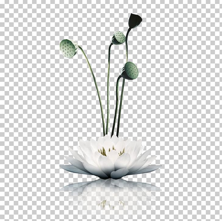 Nelumbo Nucifera U66f2u9662u98ceu8377 PNG, Clipart, Buckle, Creative, Download, Encapsulated Postscript, Flower Free PNG Download