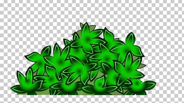Leaf Others Grass PNG, Clipart, 2018, Digital Image, Download, Grass, Green Free PNG Download
