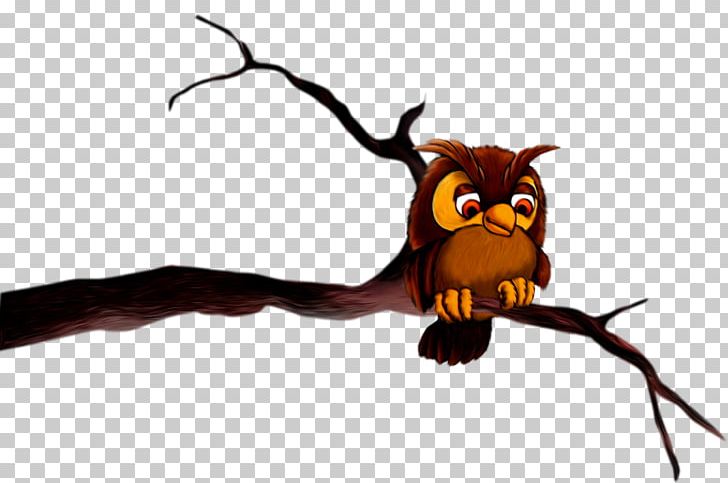 Owl Bird Of Prey Beak PNG, Clipart, Animals, Animated, Beak, Bird, Bird Of Prey Free PNG Download