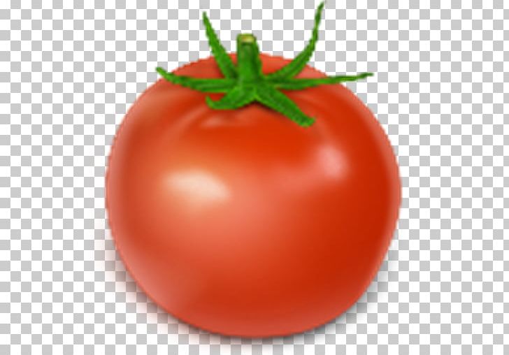 Plum Tomato Bush Tomato Vegetable PNG, Clipart, Computer Icons, Computer Software, Desktop Wallpaper, Diet Food, Eggplant Free PNG Download