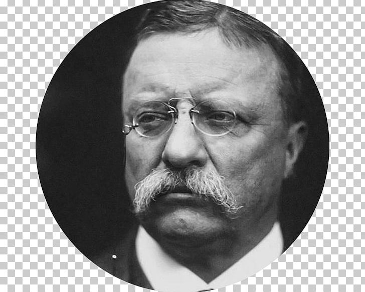Theodore Roosevelt White House President Of The United States United States Presidential Inauguration Republican Party PNG, Clipart,  Free PNG Download