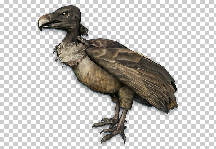 Bird Far Cry Instincts: Evolution Turkey Vulture PNG, Clipart, Accipitriformes, Android, Animals, Beak, Bird Free PNG Download
