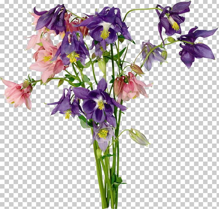 Cut Flowers Floral Design PNG, Clipart, Bellflower Family, Cut Flowers, Dendrobium, Flora, Floral Design Free PNG Download